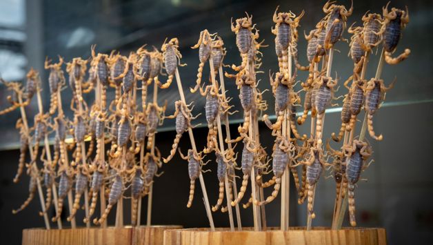 Imagen Placeholder Imagen Placeholder