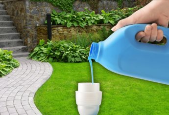 3 jabones biodegradables para reutilizar el agua; riega tus plantas después de lavar