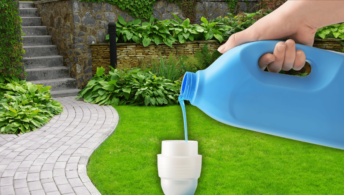 3 jabones biodegradables para reutilizar el agua; riega tus plantas después de lavar 3 jabones biodegradables para reutilizar el agua; riega tus plantas después de lavar