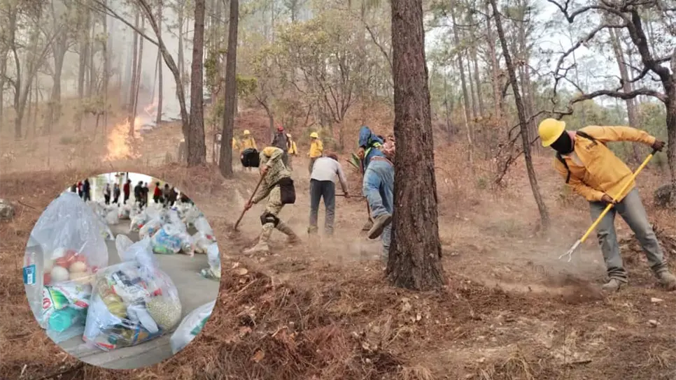 FOTO: Familias reciben apoyo humanitario tras fuerte incendio en la sierra de Concordia