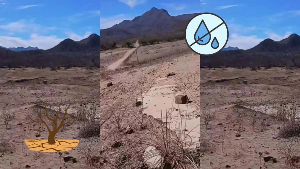 Emergen ruinas de pueblos fantasma en Choix; así luce lo que queda de Techobampo | VIDEO Emergen ruinas de pueblos fantasma en Choix; así luce lo que queda de Techobampo | VIDEO