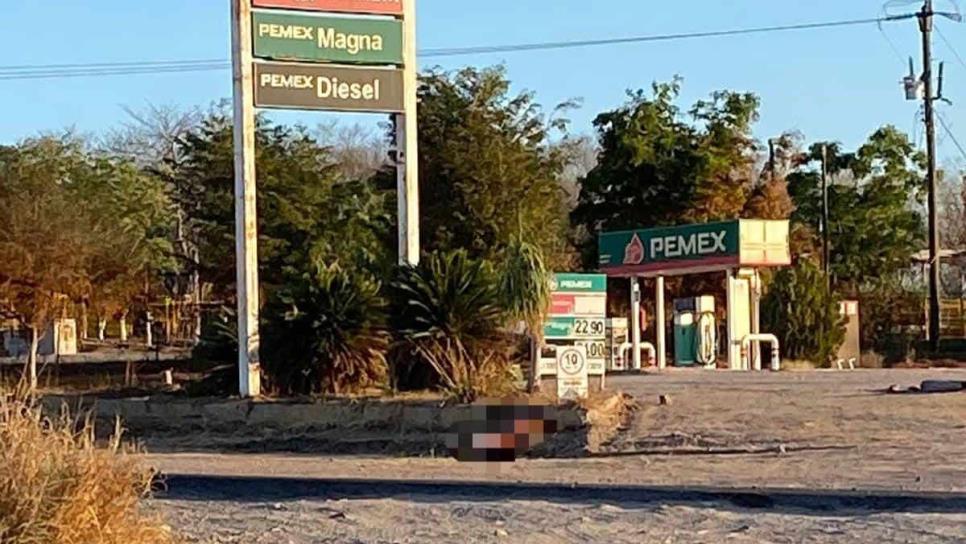 Arrojan un cuerpo encobijado en el acceso a Coyotitán, en San Ignacio Arrojan un cuerpo encobijado en el acceso a Coyotitán, en San Ignacio