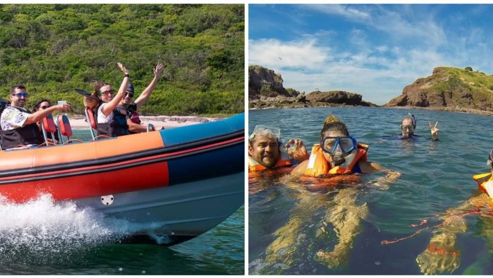 ¿Un safari en el mar? Conoce a las especies en su hábitat con esta nueva aventura en Mazatlán ¿Un safari en el mar? Conoce a las especies en su hábitat con esta nueva aventura en Mazatlán