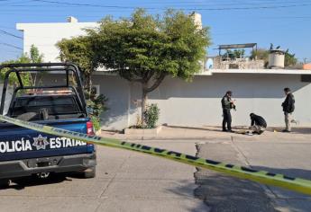 Matan a puñaladas a El Pitufo en Culiacán; era un mandadero