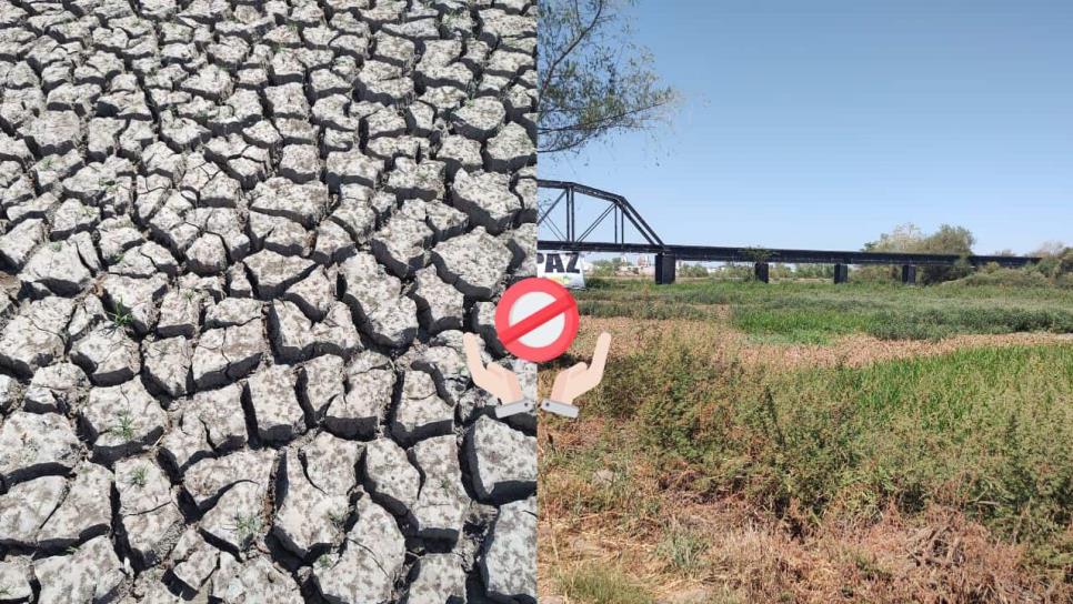 Así luce el Río Culiacán tras la intensa sequía que azota a Sinaloa | FOTOS Así luce el Río Culiacán tras la intensa sequía que azota a Sinaloa | FOTOS