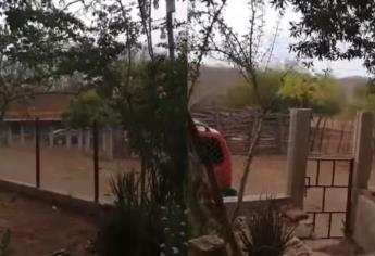 Se registran las primeras lluvias en el municipio de Mocorito, Sinaloa
