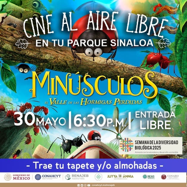 Imagen Placeholder Imagen Placeholder