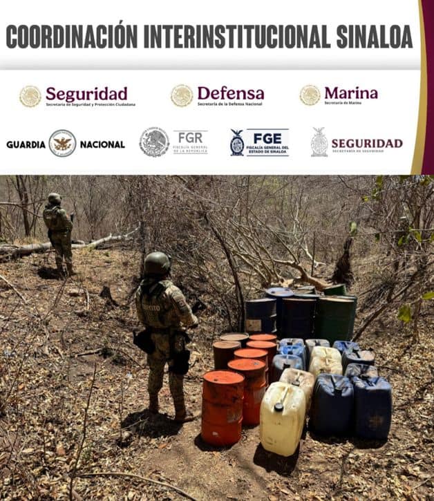 Imagen Placeholder Imagen Placeholder