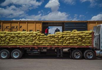 Tren del Alimento: desde Los Mochis, el ferrocarril que combate el hambre en México