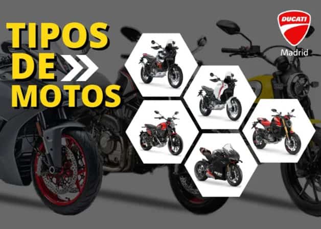 Imagen Placeholder
