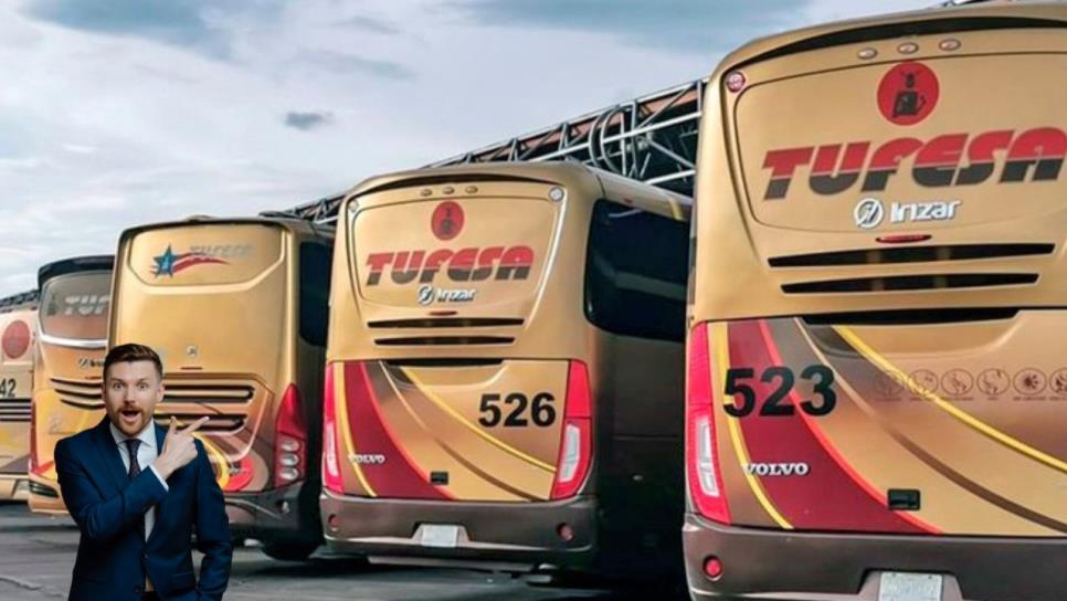 ¿Cuál es la mejor línea de autobuses que viajan en Sinaloa y qué rutas tienen más demanda, según la IA?