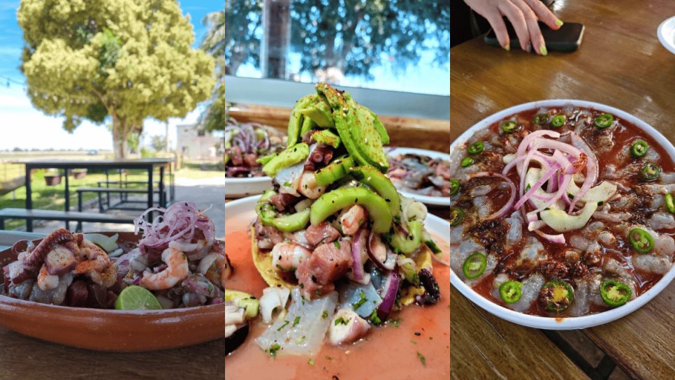 ¿Dónde comer los mejores mariscos en Los Mochis este Día del Padre? ¿Dónde comer los mejores mariscos en Los Mochis este Día del Padre?