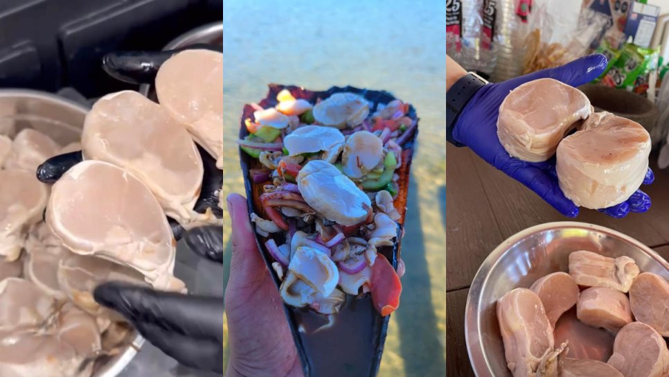 ¿Cuánto cuesta un kilo de callo de hacha en Los Mochis y cómo prepararlos? | VIDEO ¿Cuánto cuesta un kilo de callo de hacha en Los Mochis y cómo prepararlos? | VIDEO