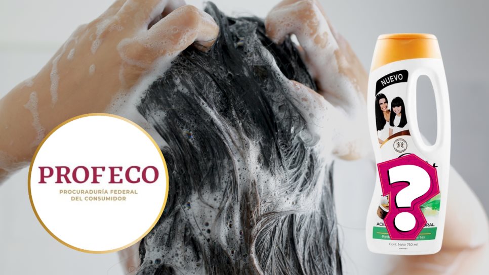 PROFECO elige el mejor shampoo: Descubre el más rendidor y efectivo del mercado PROFECO elige el mejor shampoo: Descubre el más rendidor y efectivo del mercado