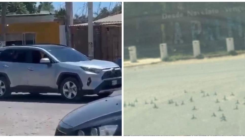 Se reporta enfrentamiento en La Palma, Navolato; Guardia Nacional sitia la sindicatura Se reporta enfrentamiento en La Palma, Navolato; Guardia Nacional sitia la sindicatura