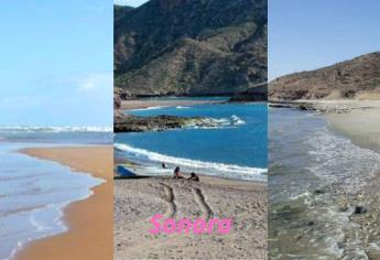 Playas de Sonora escondidas que tienes que conocer: ¿Cuáles son y cómo llegar?