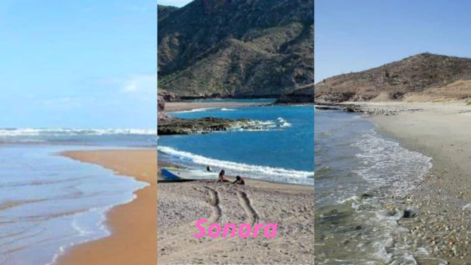 Playas de Sonora escondidas que tienes que conocer: ¿Cuáles son y cómo llegar? Playas de Sonora escondidas que tienes que conocer: ¿Cuáles son y cómo llegar?