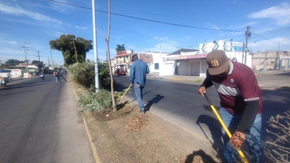 Detectan 34 contratos irregulares con empresas privadas en Servicios Públicos de Ahome Detectan 34 contratos irregulares con empresas privadas en Servicios Públicos de Ahome