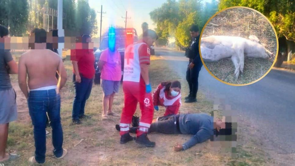 Motociclista derrapa y terminar con fracturas al chocar contra un cochi en Guasave Motociclista derrapa y terminar con fracturas al chocar contra un cochi en Guasave