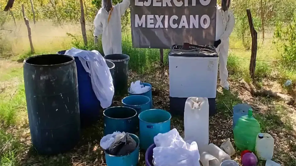 Tanto las áreas de concentración como el laboratorio inactivo y todo lo encontrado en ellos fueron asegurados y posteriormente destruidos por la autoridad