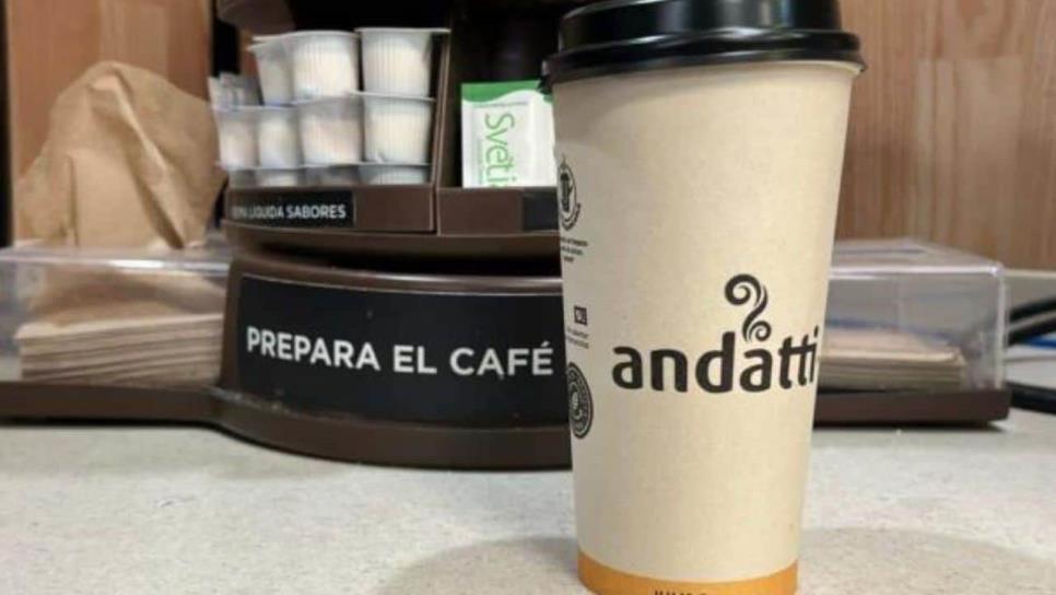 Café gratis en Culiacán este domingo 1 de junio para quienes salgan a votar Café gratis en Culiacán este domingo 1 de junio para quienes salgan a votar