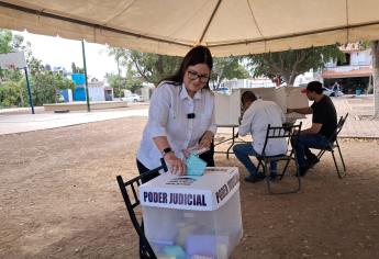 No estamos esperando una grandísima participación, es la primera elección: Imelda Castro