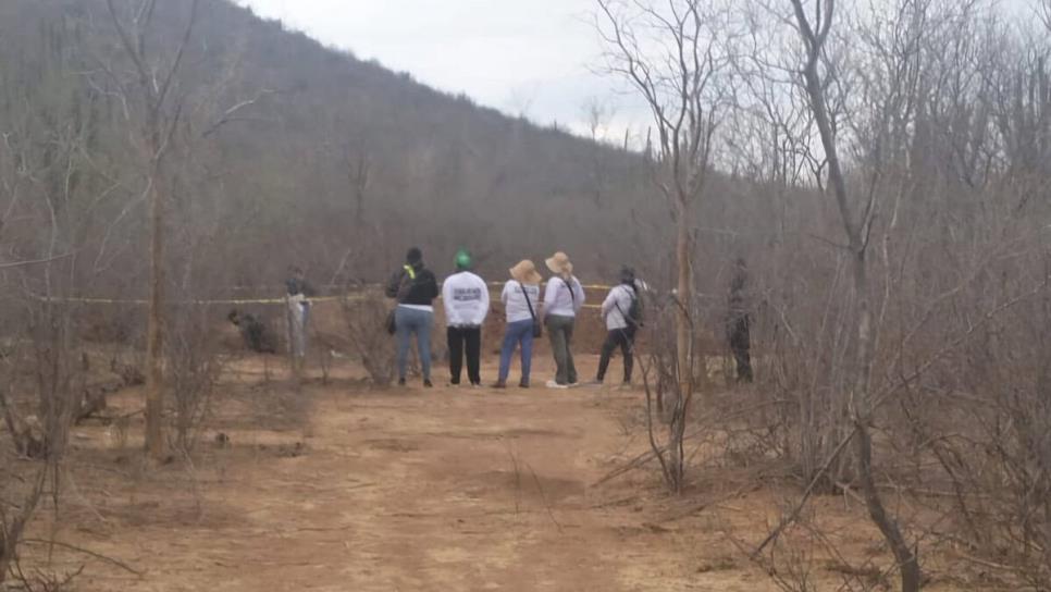 Hallan restos humanos en fosa clandestina de San Blas, El Fuerte