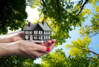 Árboles ideales para que tu casa se sienta fresca sin dañar la banqueta