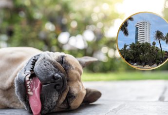 Clima en Los Mochis este martes, 3 de junio: Cielos despejados y calor intenso