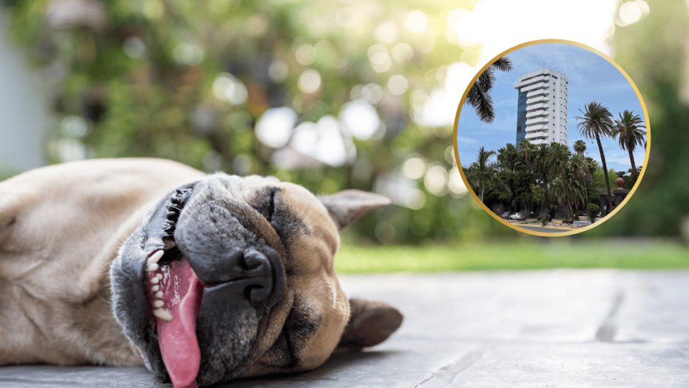 Clima en Los Mochis este martes, 3 de junio: Cielos despejados y calor intenso Clima en Los Mochis este martes, 3 de junio: Cielos despejados y calor intenso