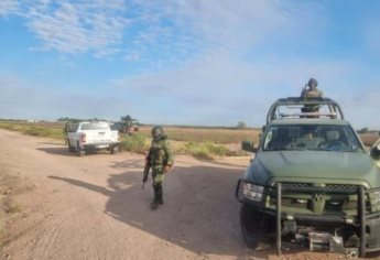 Piloto resulta herido tras desplomarse avioneta en El Carrizalejo, en Culiacán
