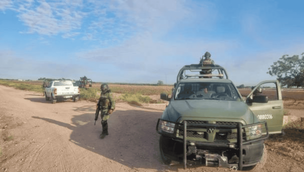 Piloto resulta herido tras desplomarse avioneta en El Carrizalejo, en Culiacán Piloto resulta herido tras desplomarse avioneta en El Carrizalejo, en Culiacán