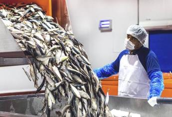 Esta atunera de Mazatlán está reconocida a nivel mundial por su producción y calidad
