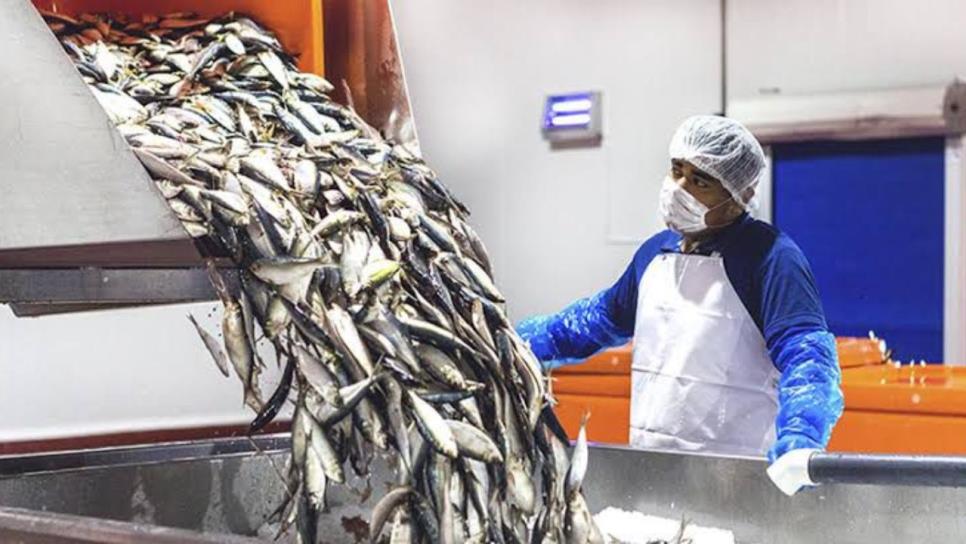 Esta atunera de Mazatlán está reconocida a nivel mundial por su producción y calidad