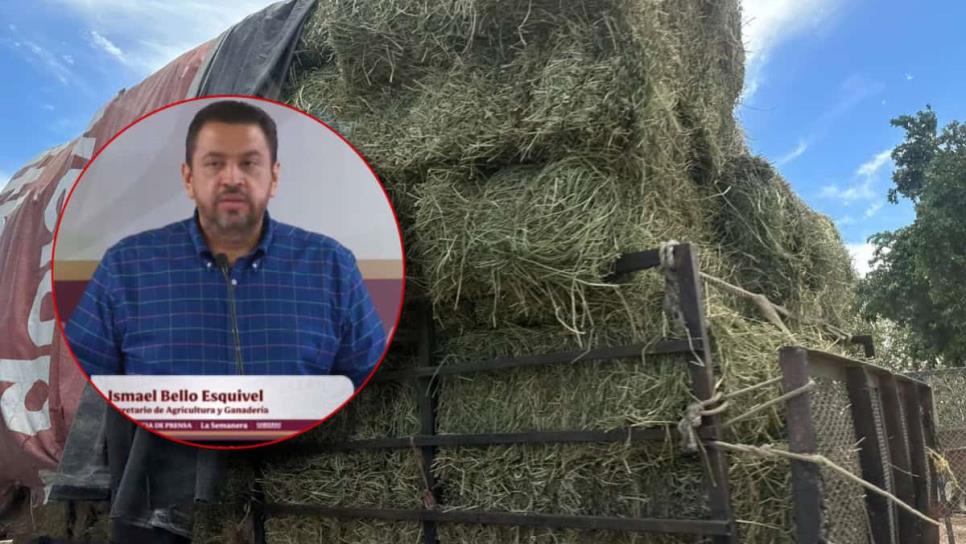 Entregan más de 23 mil pacas a ganaderos de Sinaloa para mitigar efectos de la sequía Entregan más de 23 mil pacas a ganaderos de Sinaloa para mitigar efectos de la sequía