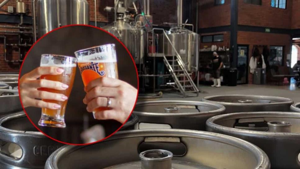 Cerveza Artesanal; ¿Cuántas marcas se producen en Mazatlán? Cerveza Artesanal; ¿Cuántas marcas se producen en Mazatlán?