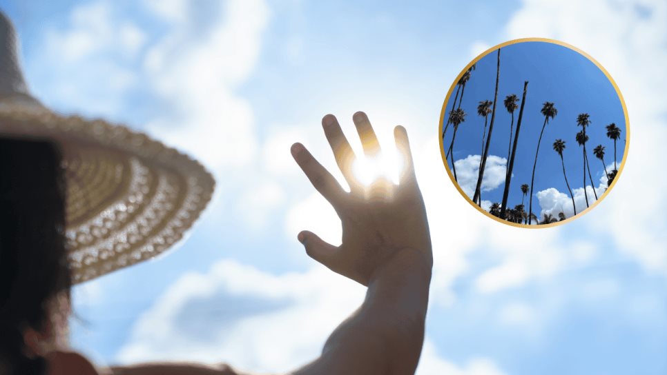 Clima en Los Mochis este miércoles, 04 de junio: Temperaturas de hasta 36 grados Clima en Los Mochis este miércoles, 04 de junio: Temperaturas de hasta 36 grados