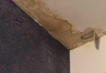 ¿Cómo evitar que se encharque el agua en la azotea de tu casa?