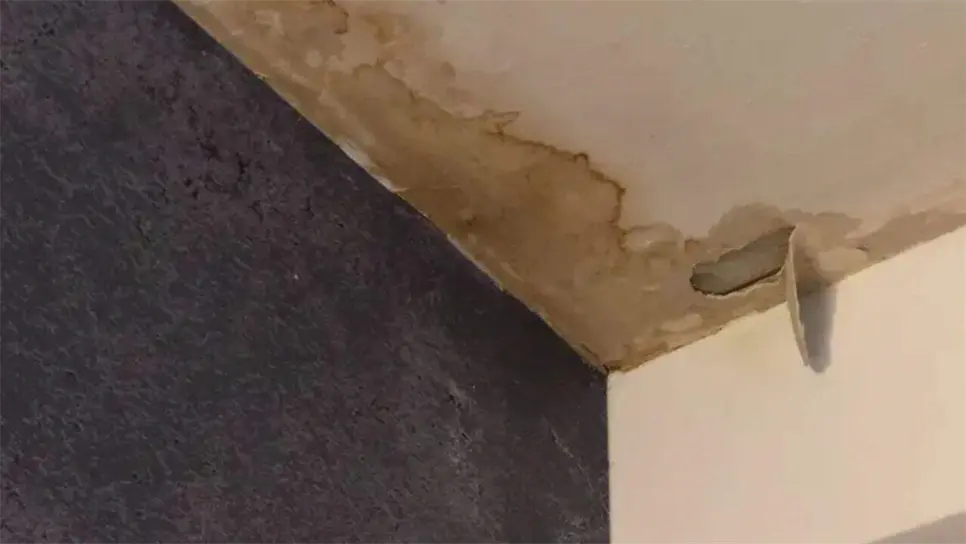 Este problema de cada temporada de lluvias, es que incrementa el factor de que el agua se filtre y ocasiones daños en las paredes, donde los habitantes deben de gastar miles de pesos para reparar el desperfecto