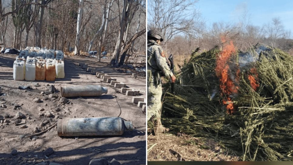 Aseguran secaderos y sustancias para elaborar drogas en la zona rural de Culiacán Aseguran secaderos y sustancias para elaborar drogas en la zona rural de Culiacán
