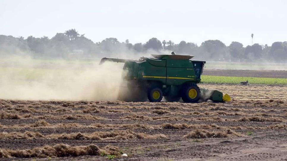 Financiera Rural deja en cartera vencida a productores de Sinaloa y enfrentan demandas del Gobierno Federal Financiera Rural deja en cartera vencida a productores de Sinaloa y enfrentan demandas del Gobierno Federal