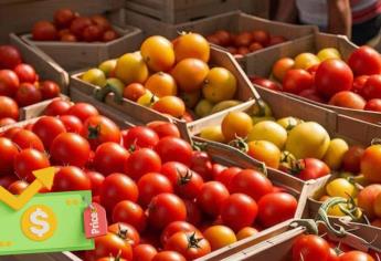 Sube 100 % el precio del tomate en el norte de Sinaloa