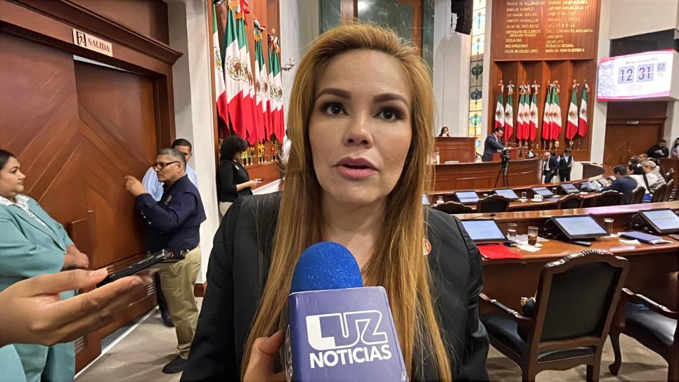 Es realmente alarmante que se presenten un altercado entre policías: Paola Garate Es realmente alarmante que se presenten un altercado entre policías: Paola Garate