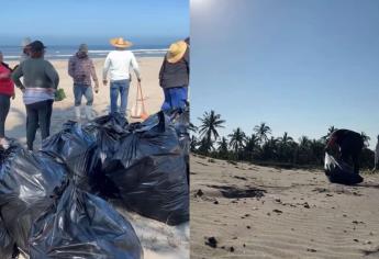 Isla de la Piedra en Mazatlán, de las playas de Sinaloa más contaminadas con microplásticos 