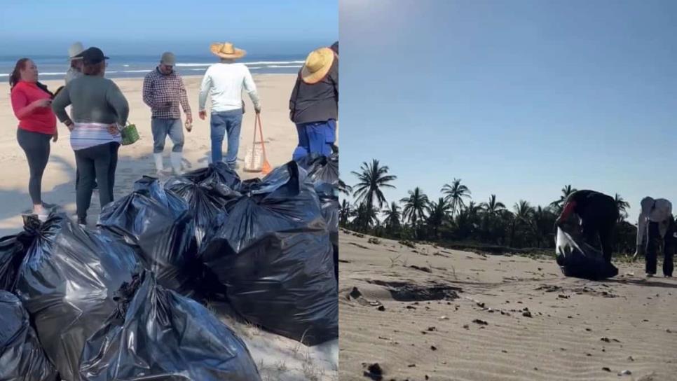 Isla de la Piedra en Mazatlán, de las playas de Sinaloa más contaminadas con microplásticos Isla de la Piedra en Mazatlán, de las playas de Sinaloa más contaminadas con microplásticos