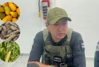 Aumenta el robo de mango, maíz y camarón por desempleo en Ahome