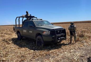 Encuentran osamenta humana mientras trillaban parcela de maíz en la sindicatura de Villa Juárez, Navolato