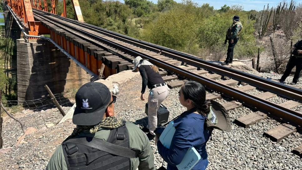 El hombre localizado bajo el puente Colorado de San Blas tenía golpes y el rostro apuñalado El hombre localizado bajo el puente Colorado de San Blas tenía golpes y el rostro apuñalado