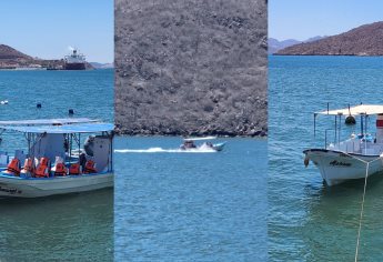 Así puedes conocer lugares secretos y fauna local a través de un paseo en lancha en Topolobampo