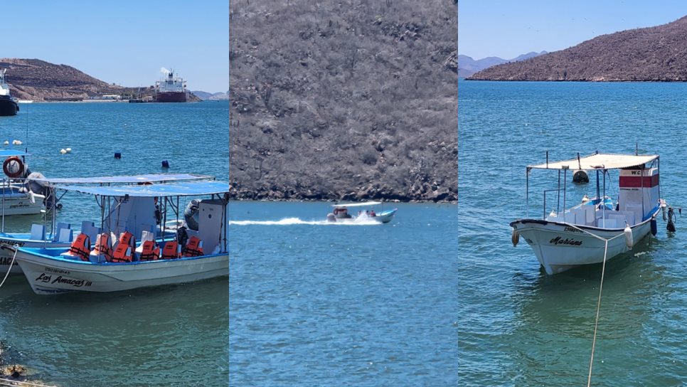 Así puedes conocer lugares secretos y fauna local a través de un paseo en lancha en Topolobampo Así puedes conocer lugares secretos y fauna local a través de un paseo en lancha en Topolobampo